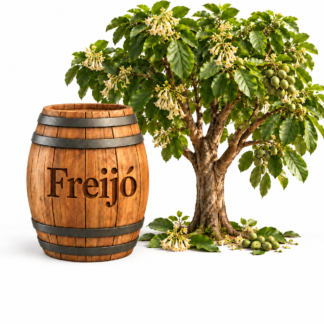 Freijó