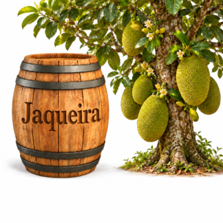 Jaqueira