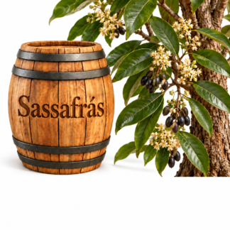 Sassafrás